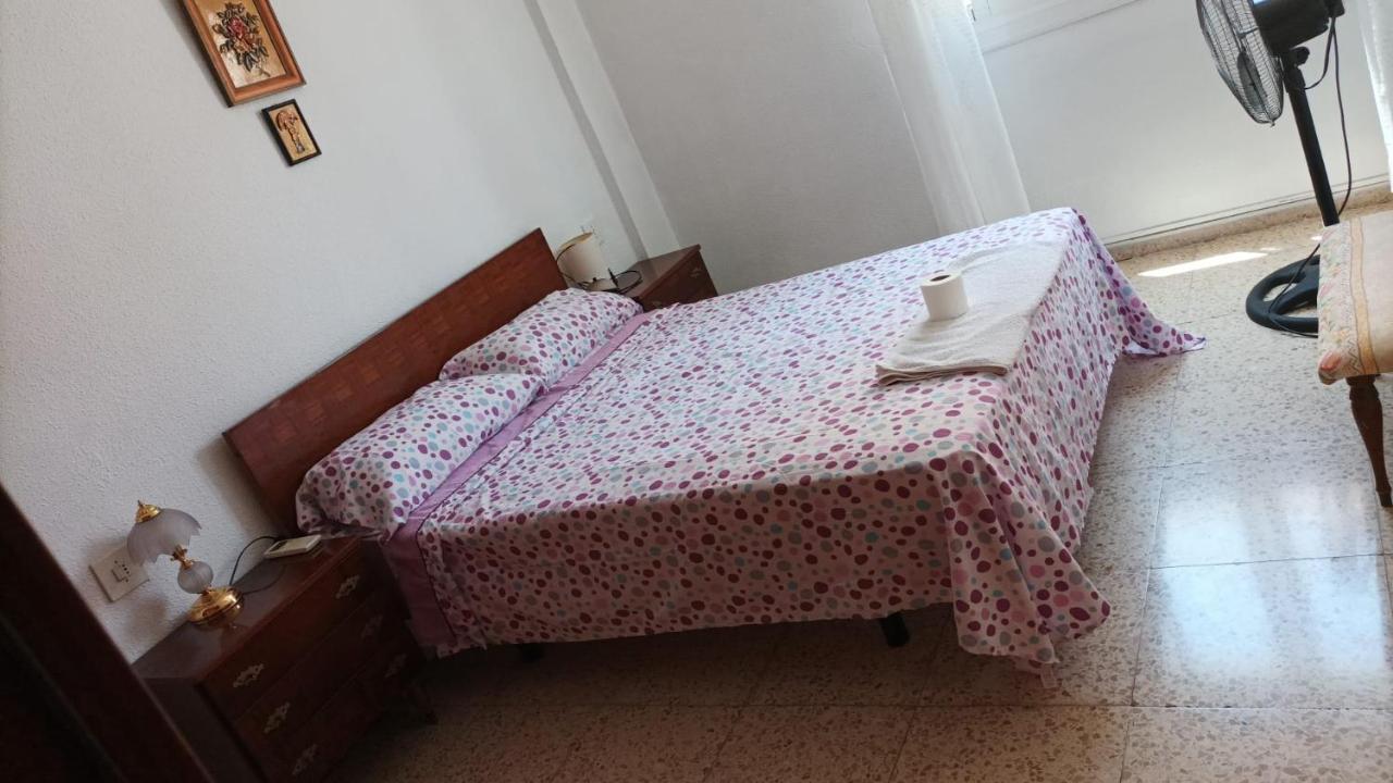 Alquiler Alicante 02 エクステリア 写真
